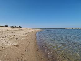 Spiagge pulite grazie ai cittadini