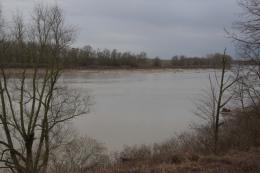 "Troppi ancora fanno il bagno nel Po"